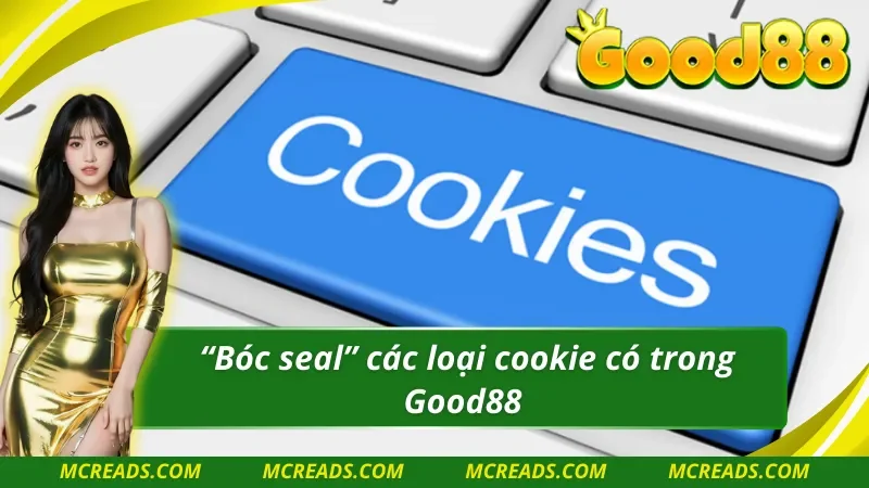 Các loại cookie phổ biến trong chính sách cookie