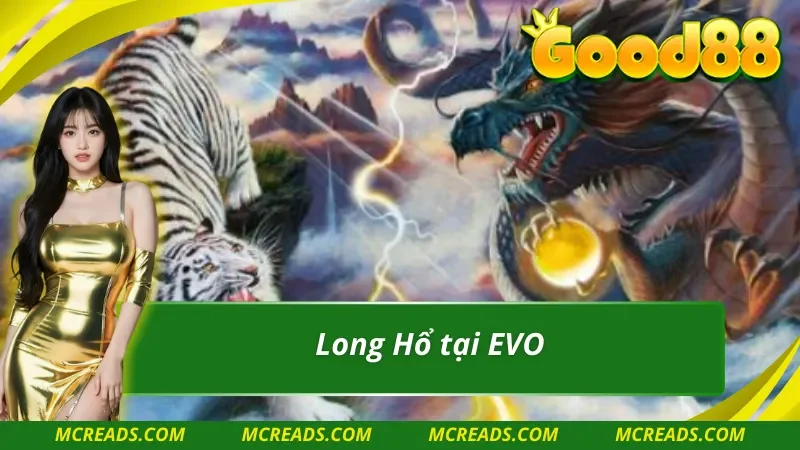 Dragon Tiger tại EVO Trực Tuyến